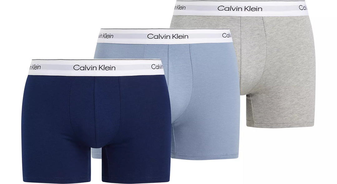 Ck boxer brief outlet