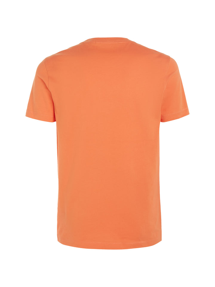 CKJ INSTIT LOGO TEE - SUMMER SQUASH