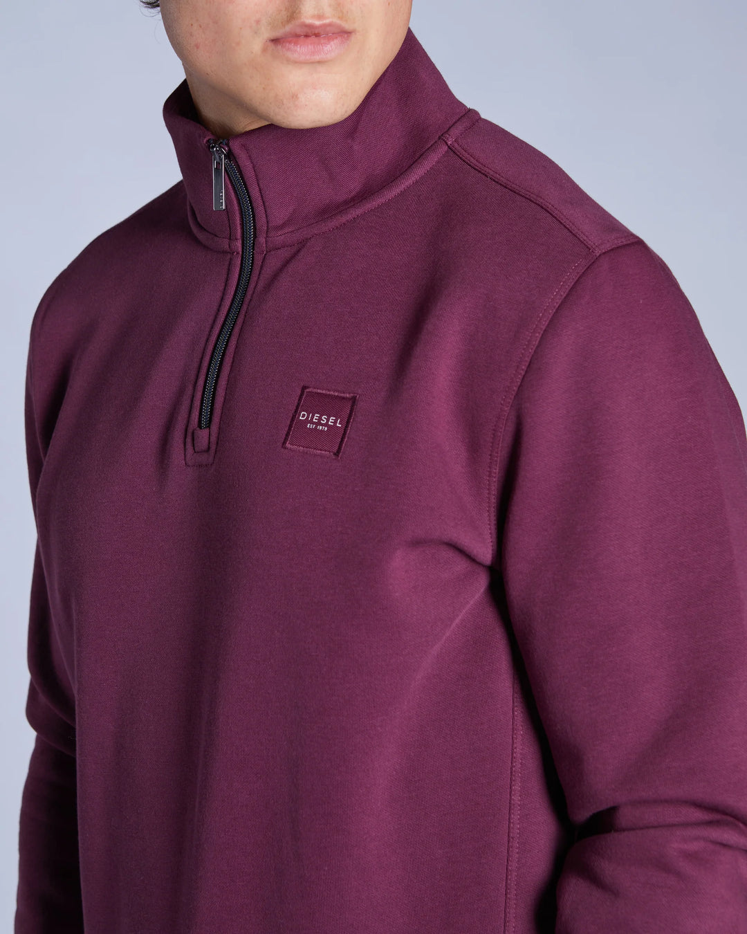 DIESEL DAX HALF ZIP - FIG