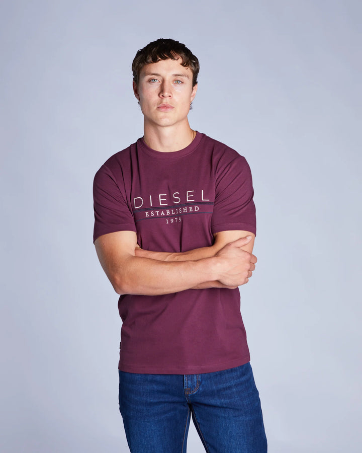 DIESEL DUNCAN TEE - FIG