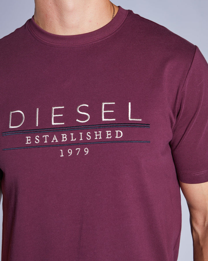 DIESEL DUNCAN TEE - FIG