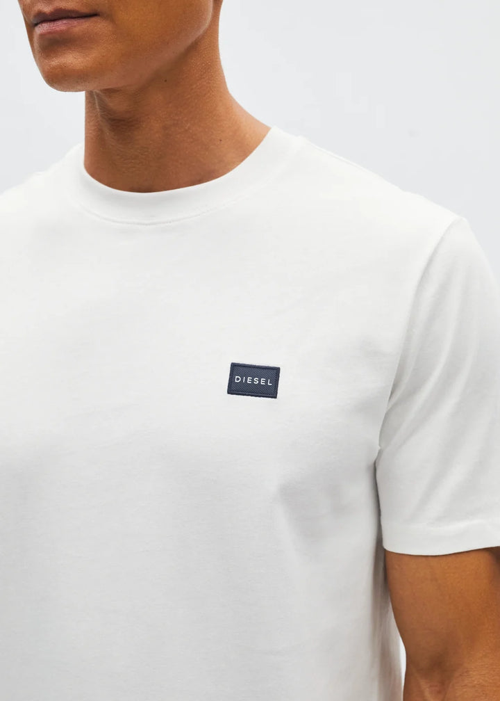 DIESEL JOHN TEE - ANTARCTIC