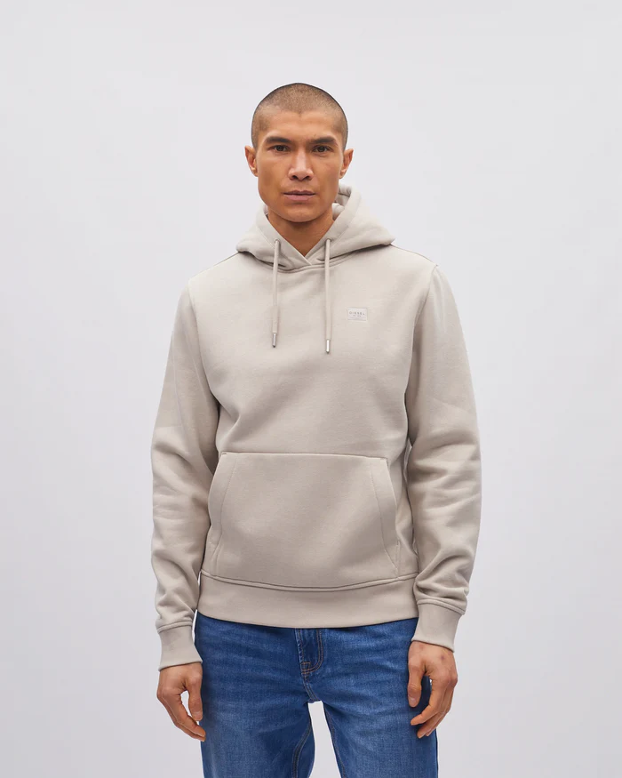 DIESEL SLATER HOODIE - BEACHCOMBER